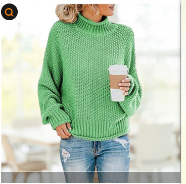 Thick Thread Turtleneck Pullover — Spring, Fall — Chic Yana Fashion