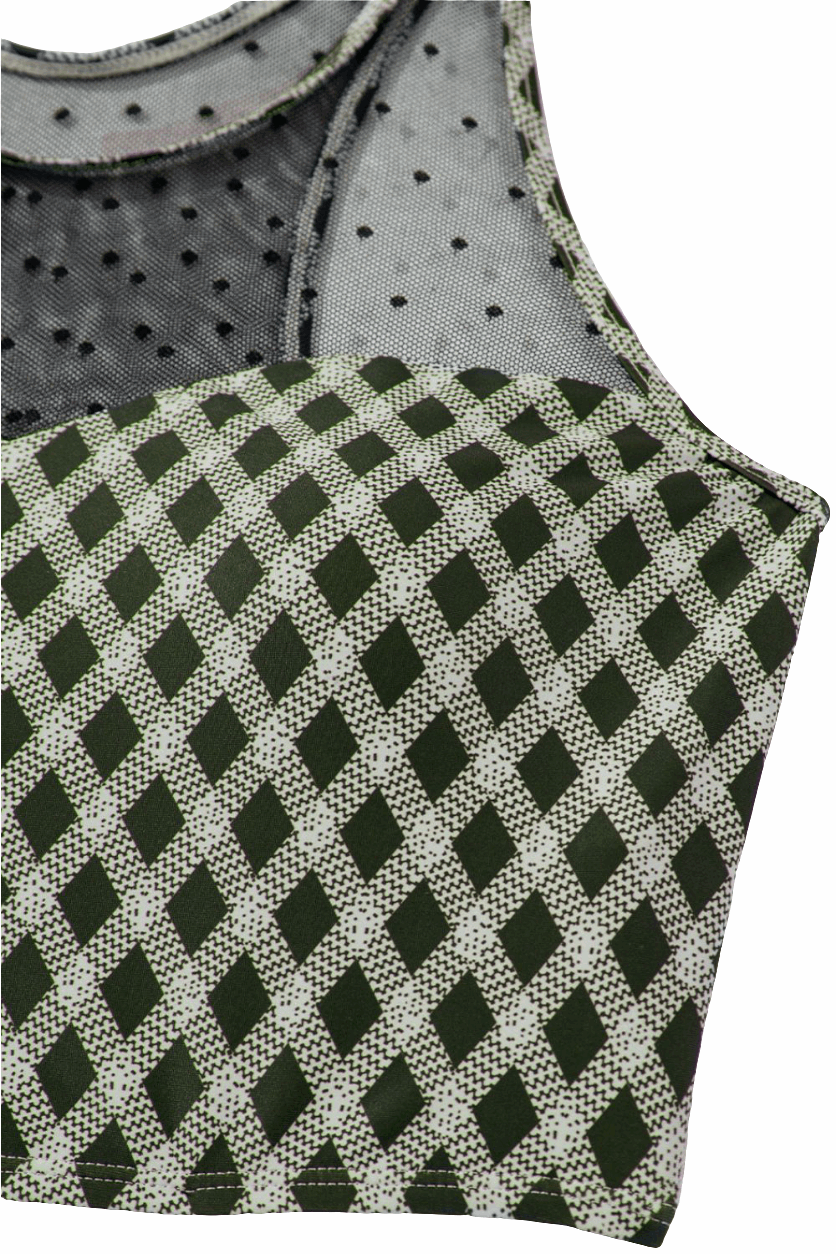 Dotted Mesh Plaid Patchwork High Waisted Swim Set